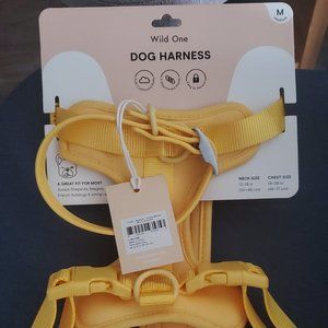 Wild One Medium Yellow Collar and Harness NWT